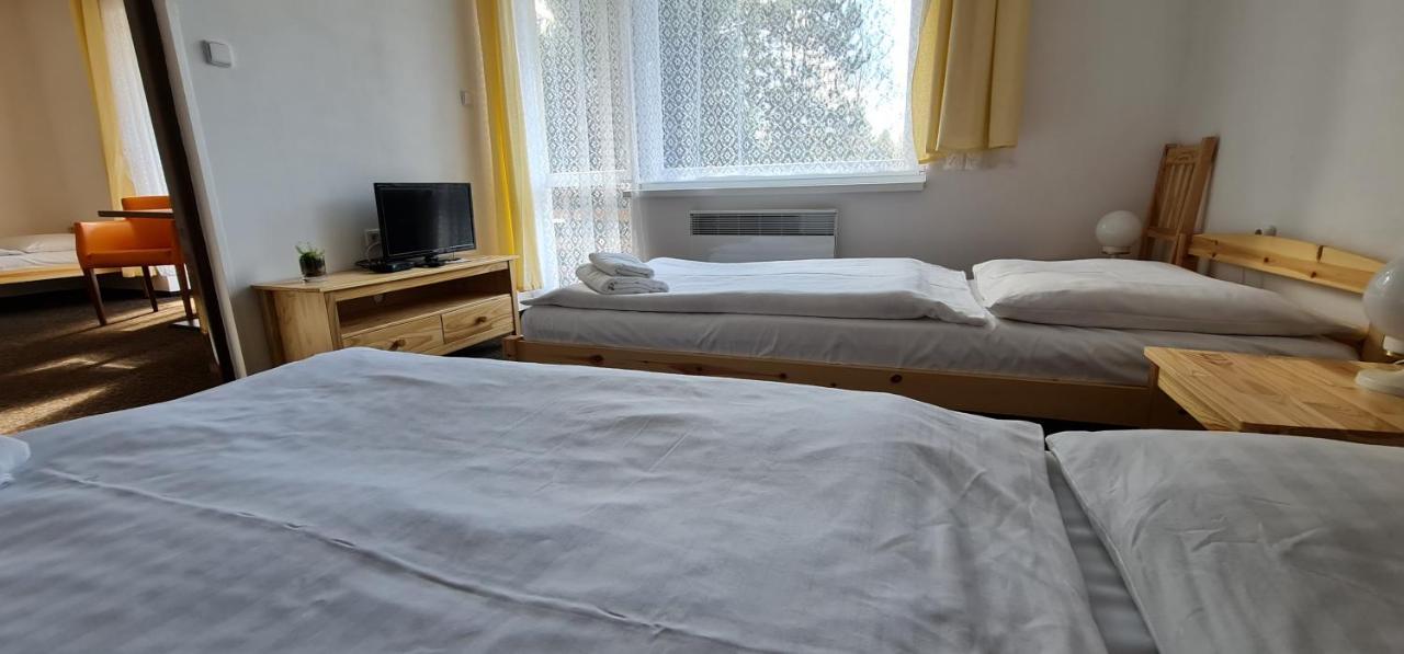 Hotel Svratka Εξωτερικό φωτογραφία
